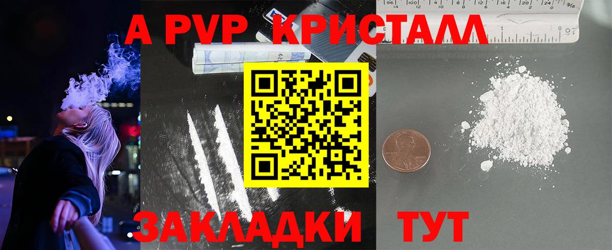 APVP СК Волгоград