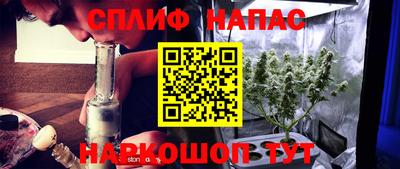 молекула духа Нальчик