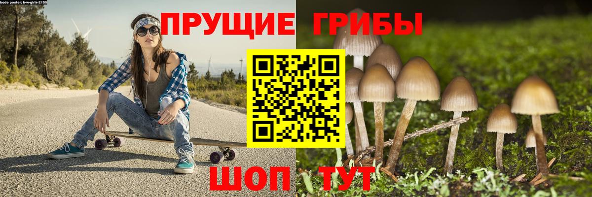 Галлюциногенные грибы мухоморы Волгоград