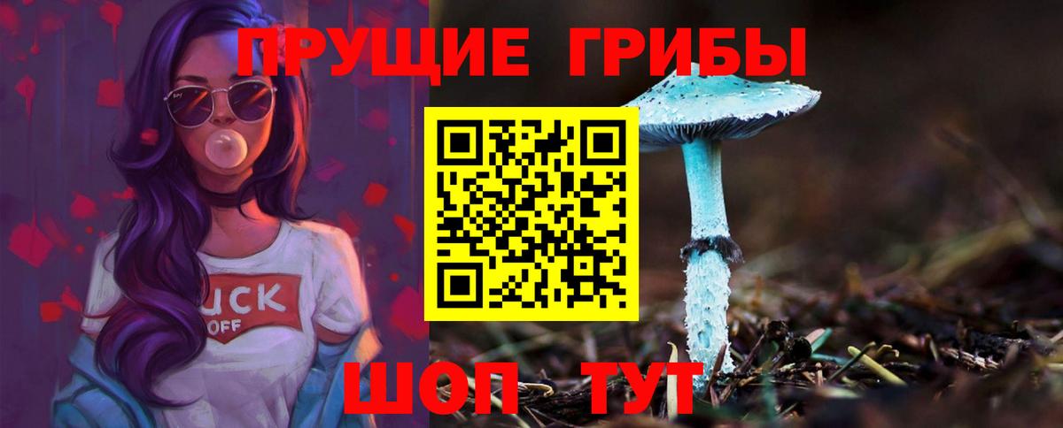 Волгоград  Галлюциногенные грибы Magic Shrooms  Вход с VPN 